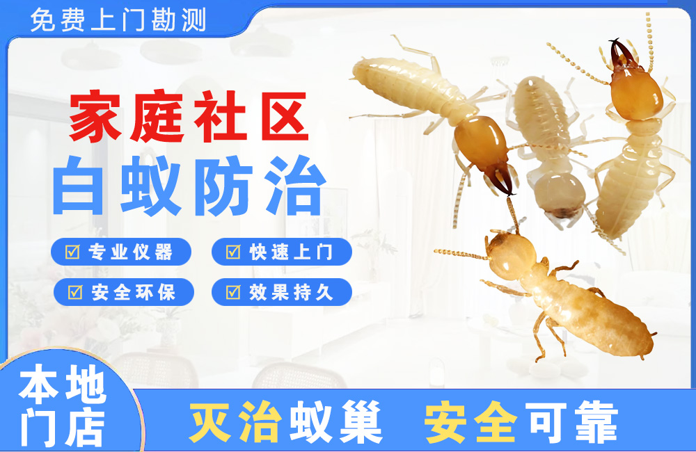 北塘家庭社区白蚁防治