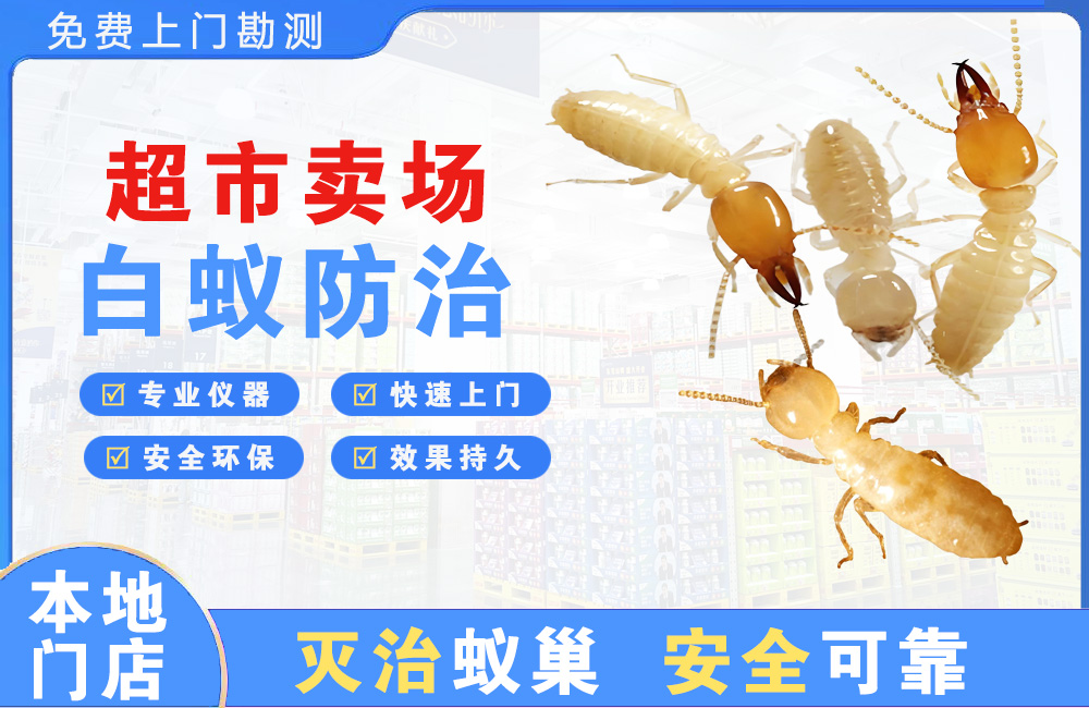 北塘超市卖场白蚁防治
