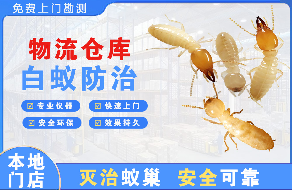 北塘物流仓库白蚁防治