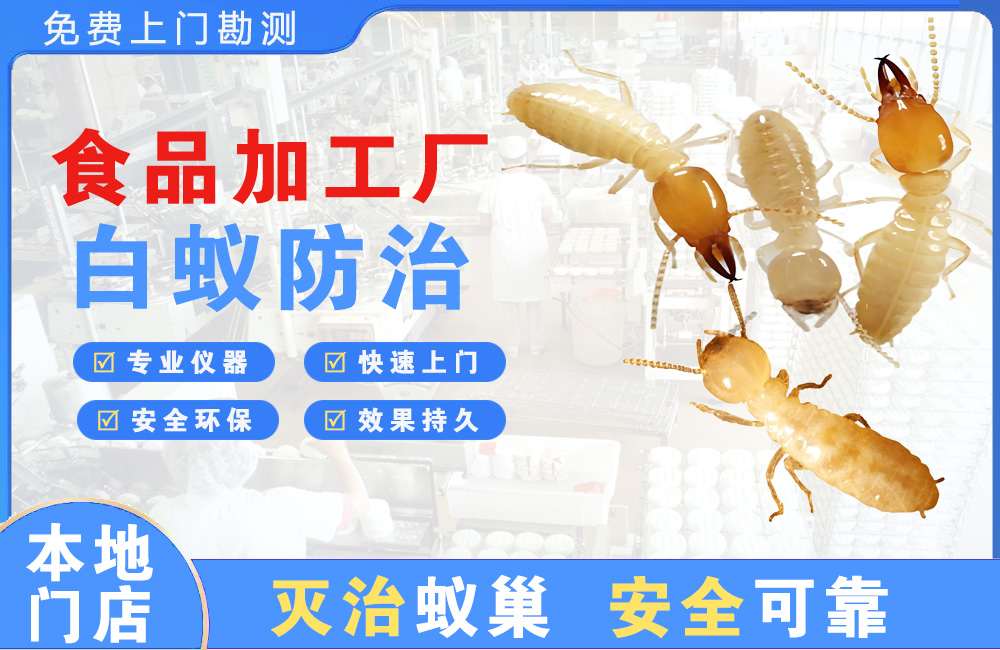 北塘食品加工厂白蚁防治
