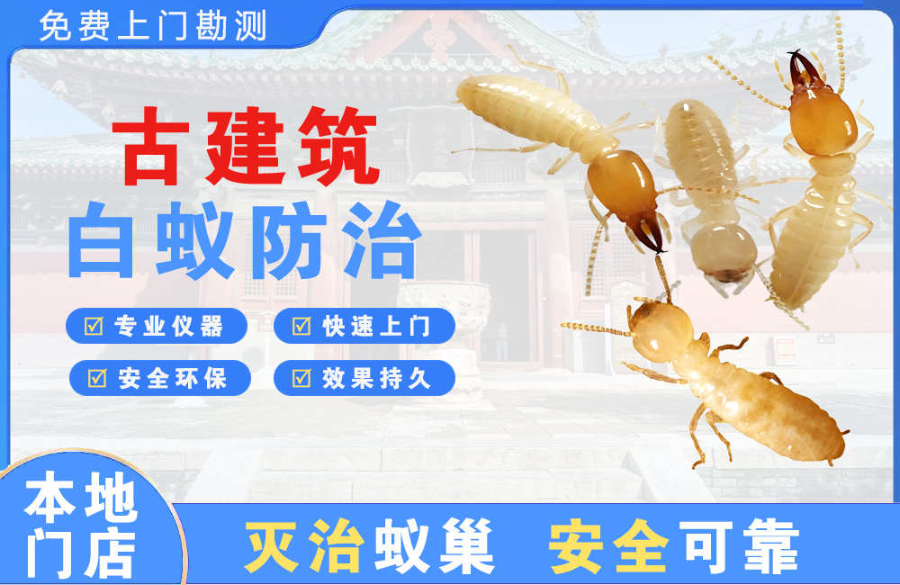 北塘古建筑白蚁防治