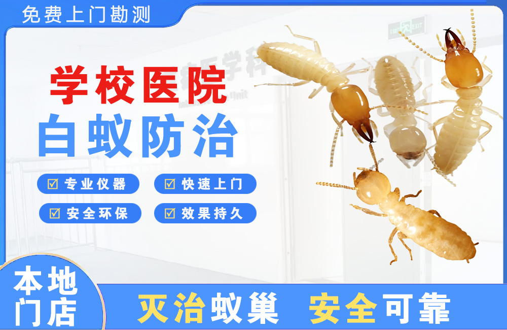 北塘学校医院白蚁防治