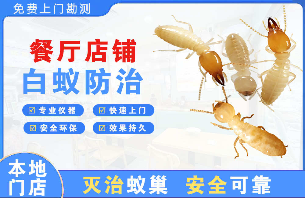 北塘餐厅店铺白蚁防治